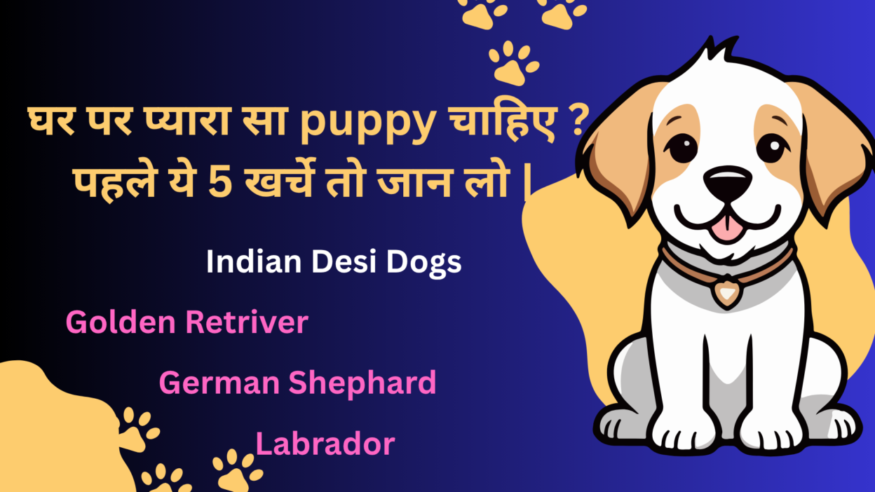 puppy पालने के 5 खर्चे