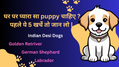 puppy पालने के 5 खर्चे